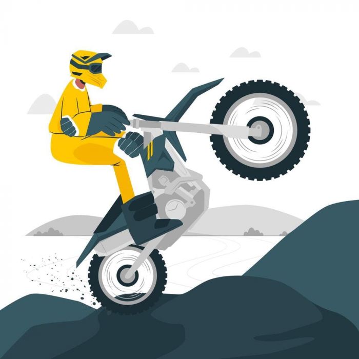 Fatbike stickers